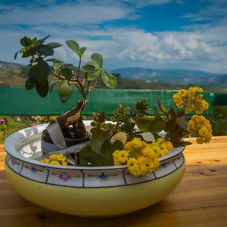 Casa Dos Mochinhos 度假居